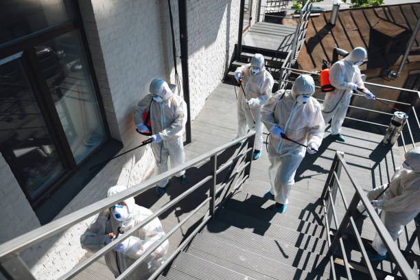 Best Mold Remediation for Healthcare Facilities  in Maili, HI