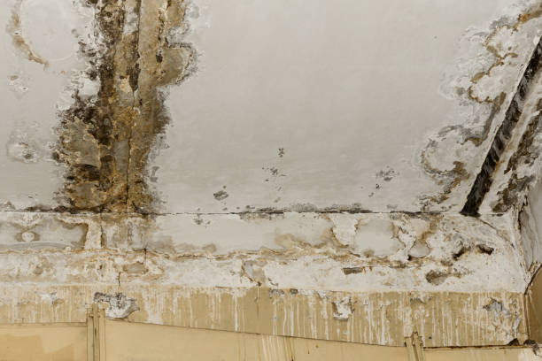 Best Indoor Air Quality Assessment  in Maili, HI
