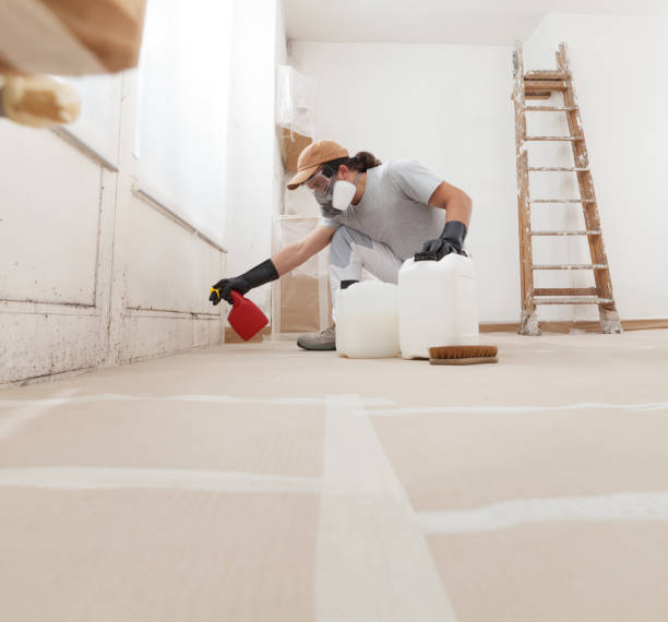 Best Crawl Space Mold Remediation  in Maili, HI